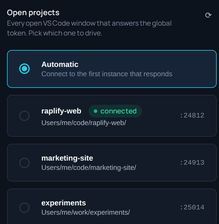 The local WebSocket the browser pairs with, discovered automatically.